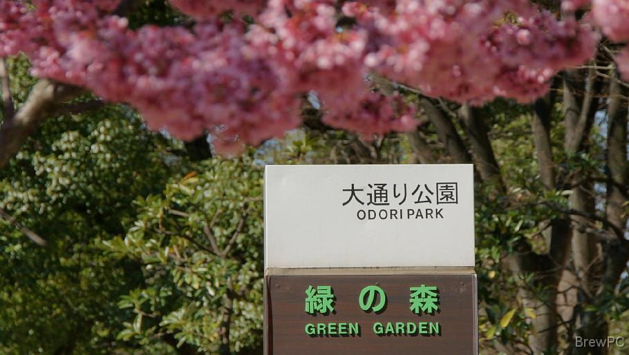 DSC03626 大通り公園