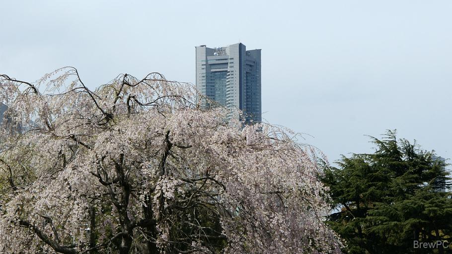 DSC04488 山下公園（ランドマークタワー）