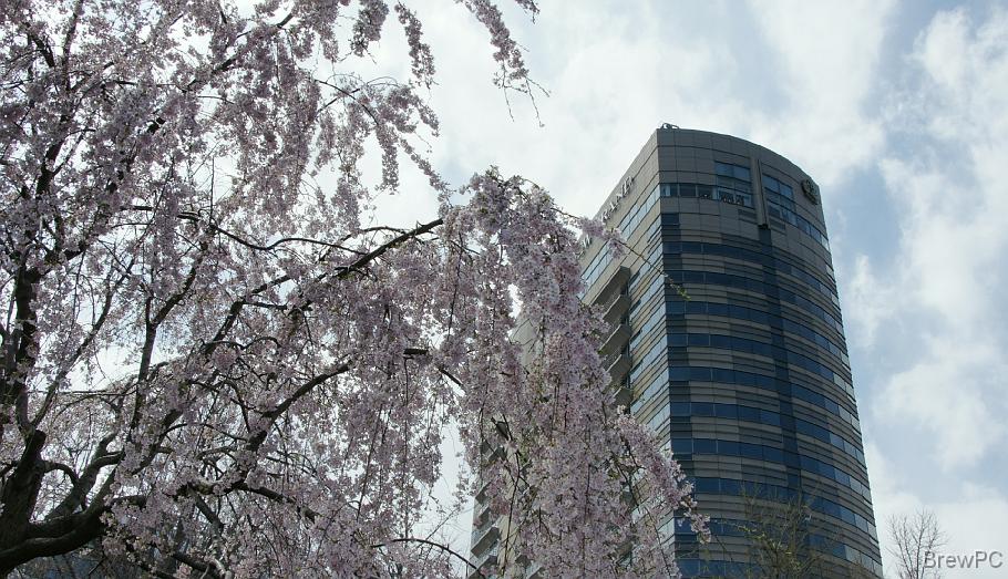 DSC04579 山下公園（ホテルニューグランド）