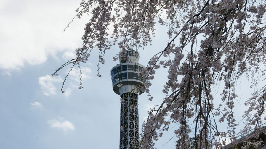 DSC04597 山下公園（マリンタワー）