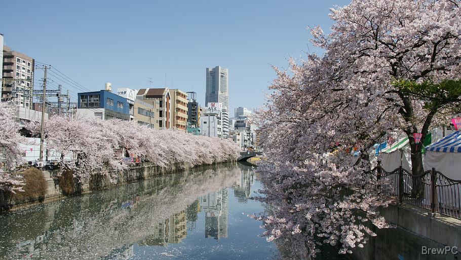 DSC05851 大岡川