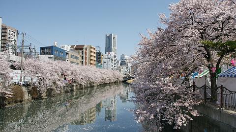 DSC05851 �剪��