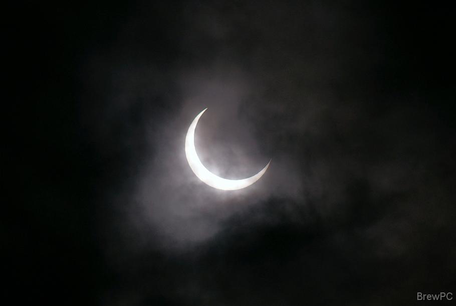 DSC06969 2021' 05/21 07:26 野毛山