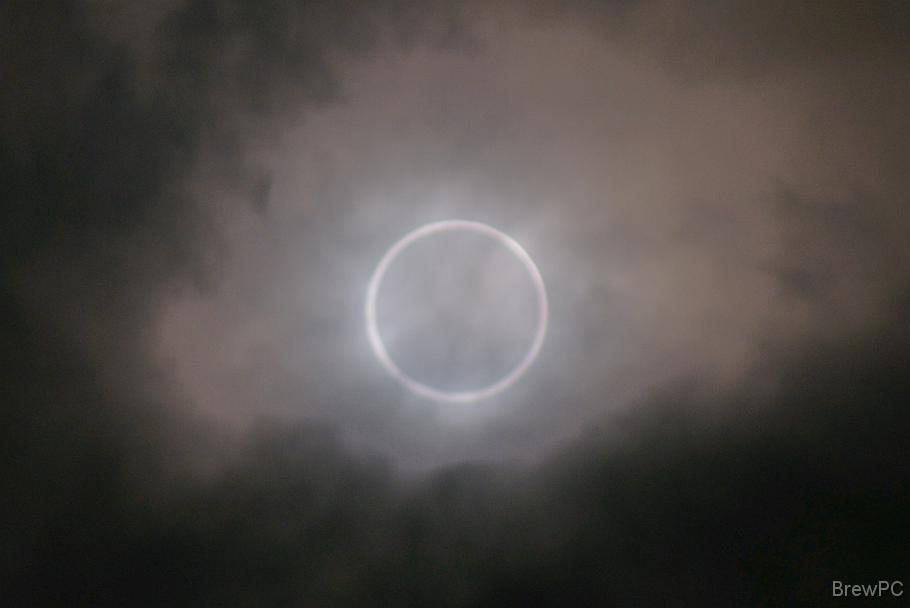 DSC07008-001 2021' 05/21 07:21 桜木町