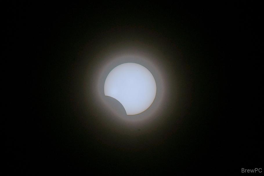 DSC07242 2021' 05/21 08:46 武蔵溝の口