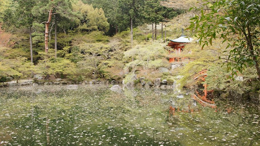 DSC02657.JPG - 醍醐寺