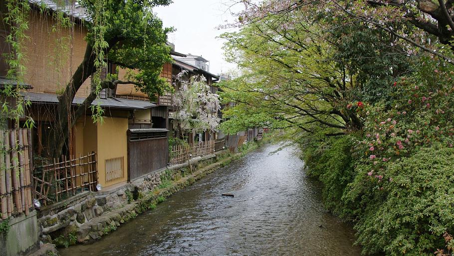 DSC02732.JPG - 祇園白川