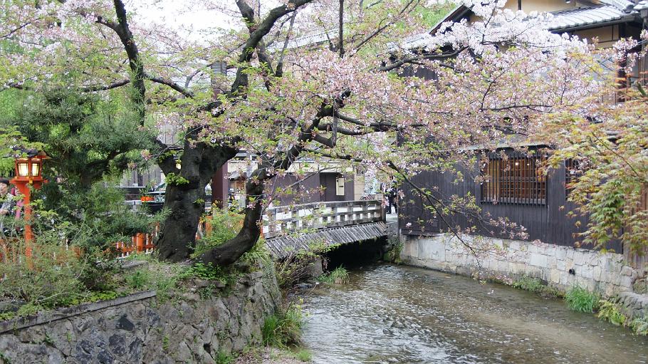 DSC02739.JPG - 祇園白川