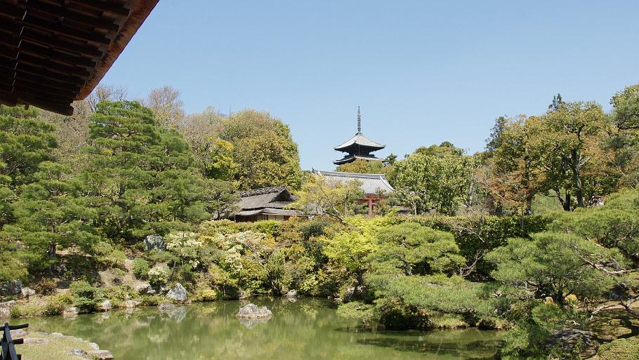 DSC03410.JPG - 仁和寺