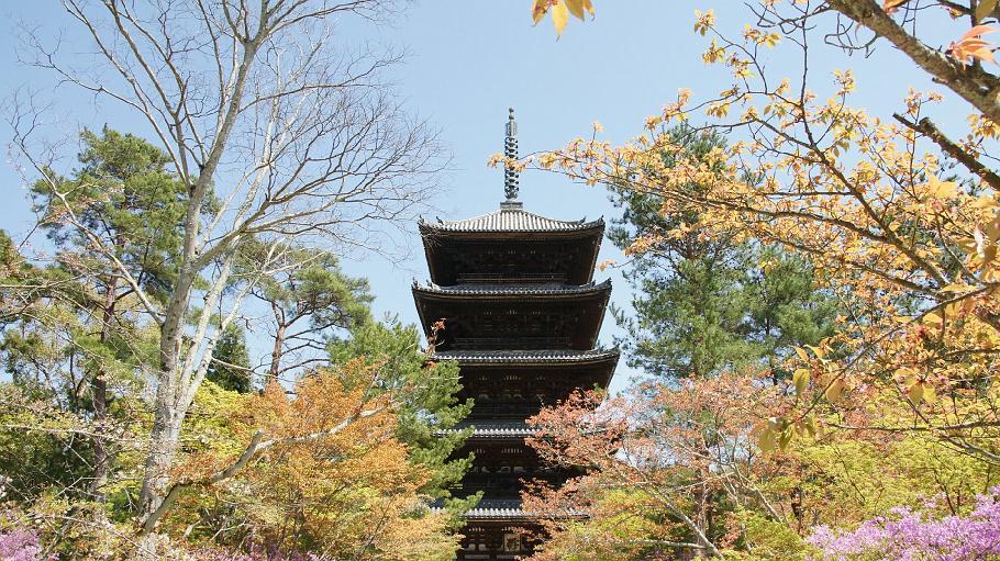 DSC03508.JPG - 仁和寺