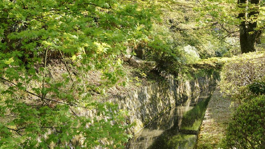 DSC03583.JPG - 哲学の道