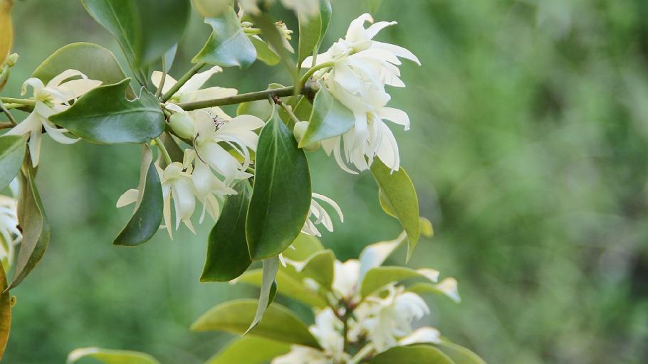 DSC03627.JPG - 哲学の道